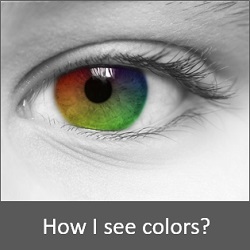 1 Online Colour Blind Test